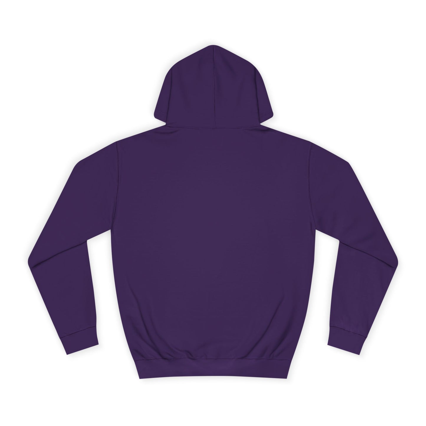 Sonic Paladin Hoodie