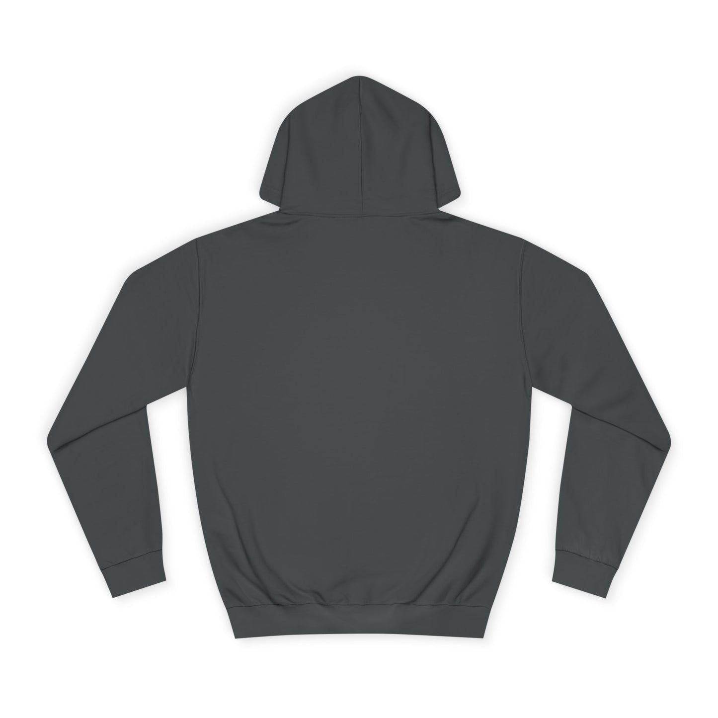 Sonic Paladin Hoodie