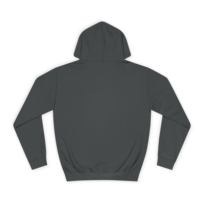 Sonic Paladin Hoodie