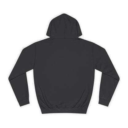 Sonic Paladin Hoodie